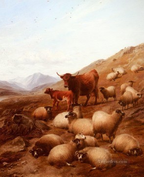 England Cooper Thomas Sidney 1803 1902 im Hochland Schaf Ölgemälde